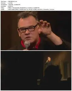 Stewart Lee: Carpet Remnant World (2012)