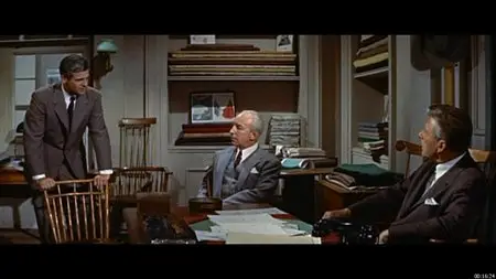 Peyton Place / Glut unter der Asche [DVD9] (1957)