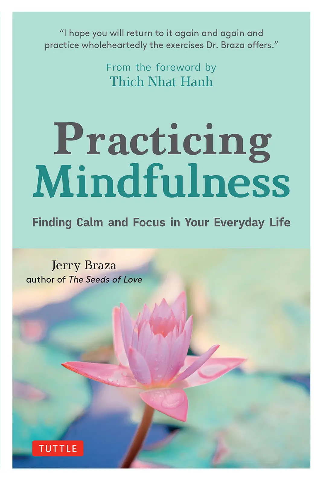 Practicing Mindfulness: Finding Calm and Focus in Your Everyday Life ...