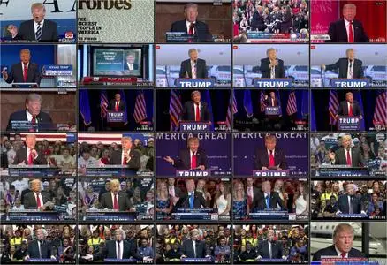 One Nation Under Trump (2016)
