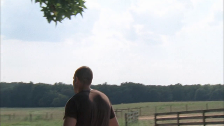 The Walking Dead S01-S05 [Complete All Season ] (2010-2015)