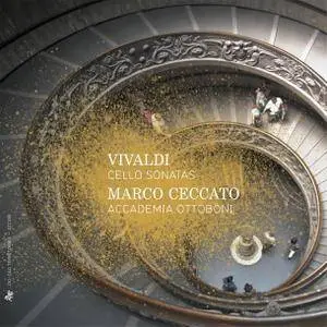 Marco Ceccato, Accademia Ottoboni - Vivaldi: Cello Sonatas (2014) [Official Digital Download 24/88]