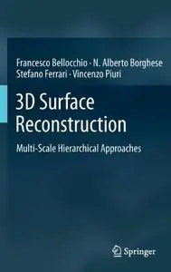 3D Surface Reconstruction: Multi-Scale Hierarchical Approaches