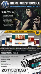 Wordpress Premium Business Website Templates Vol.2