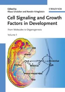 Cell Signaling and Growth Factors in Development: From Molecules to Organogenesis (2 Volumes) by Klaus Unsicker