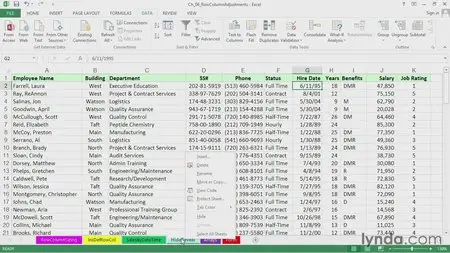 Excel 2013: Advanced Formatting Techniques (2013)