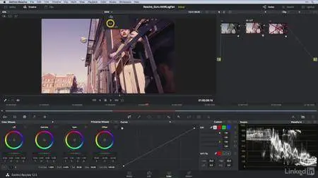 Lynda - DaVinci Resolve Guru: Color Correcting Log, Raw, and Flat Footage (2017)