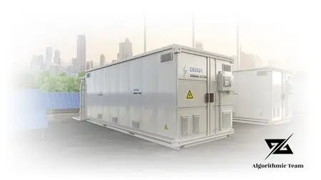 The Dynamic Economic Dispatch For Electricity Grids