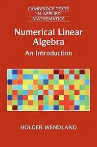 Numerical Linear Algebra: An Introduction