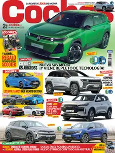 Coches 2000 - Junio 2025