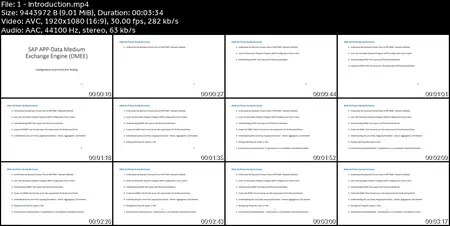 SAP FICO- APP-DMEE From Scratch to Advance