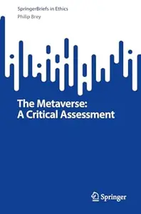 The Metaverse: A Critical Assessment