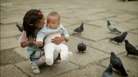 The Girl Who Talked to Dolphins (2014)