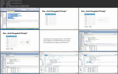 SQL Grundkurs 2: Data Query Language (DQL) Aufbauwissen