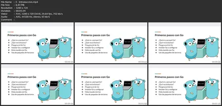 Aprende Go: La Guía Completa Para Dominar Golang