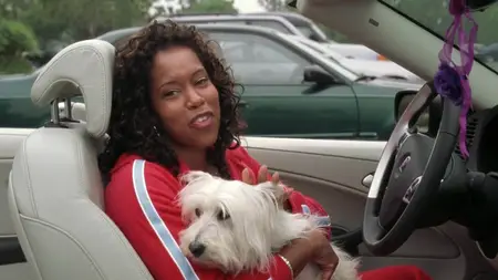 Year of the Dog (2007)