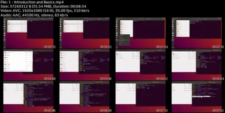 Bash Shell Scripting: From Zero To Automation