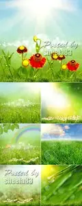 Stock Photo - Spring Backgrounds 2