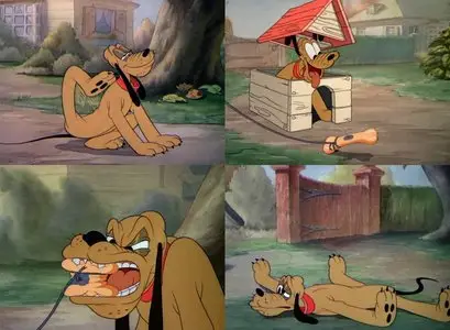 Disney Short Films: 463 Movies (1925-2006)