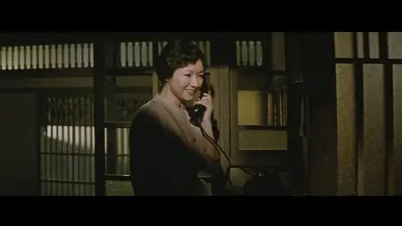 Daughters, Wives, Mother (1960)