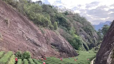 Virtual Trip To Wu Yi Shan: Home of Yan Cha (Cliff Tea)