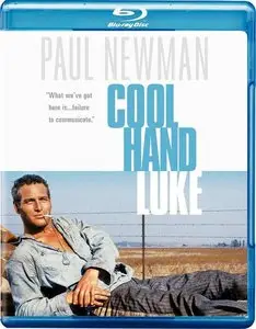 Cool Hand Luke (1967) [Reuploaded]