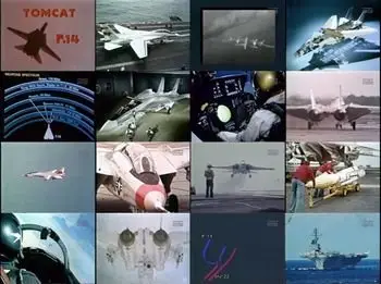 F-14 Tomcat [Discovery/студия "Крылья России"]