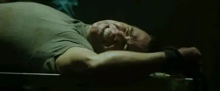 The Devil's in the Details (2013)