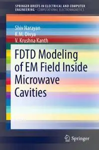 FDTD Modeling of EM Field inside Microwave Cavities