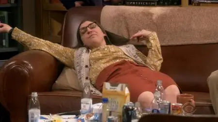 The Big Bang Theory S12E23