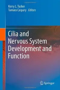 Cilia and Nervous System Development and Function