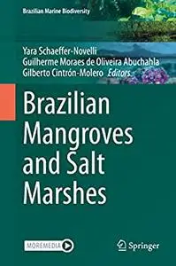 Brazilian Mangroves and Salt Marshes