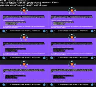 Hacking & Penetration Testing : White Box PT VS Black Box PT