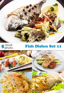 Photos - Fish Dishes Set 11
