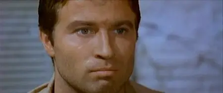 The Cobra (1967)