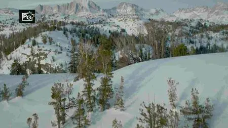 National Geographic - Wild Yellowstone: Series 1 (2015)