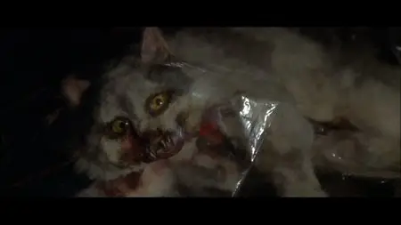 4 mosche di velluto grigio (1971) [Uncut and Remastered]