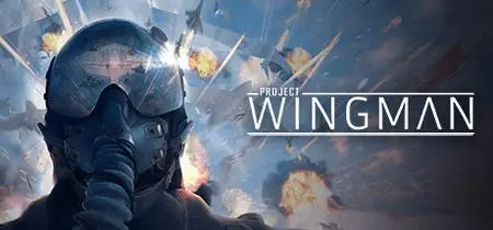 Project Wingman (2020) Update v1.0.4D