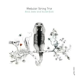 Modular String Trio - Ants, Bees and Butterflies (2016)