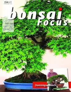 Bonsai Focus (English Edition) - September/October 2018