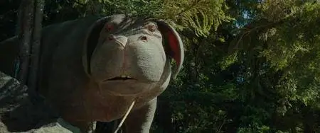 Okja (2017)