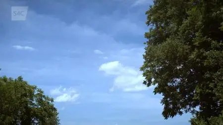 S4C Dylan ar Daith - O Hirwaun i Iowa (2014)