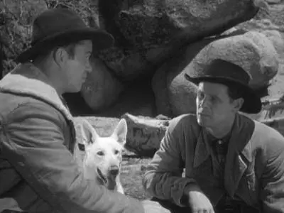 Trail of the Yukon (1949)