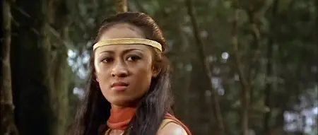 The Devil's Sword (1984) 