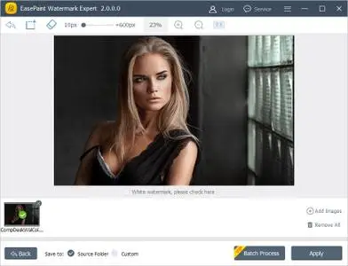 EasePaint Watermark Expert 2.0.7.0
