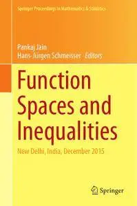 Function Spaces and Inequalities: New Delhi, India, December 2015