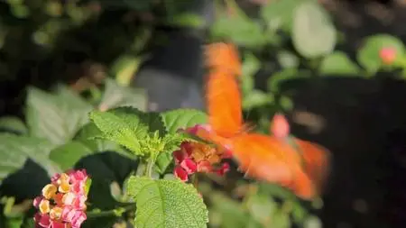 Absurd Planet S01E08