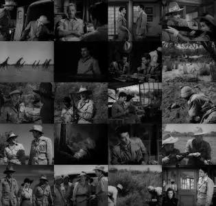 The Macomber Affair (1947)