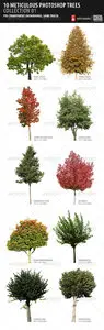 GraphicRiver - 10 Meticulous Photoshop Trees Collection 01