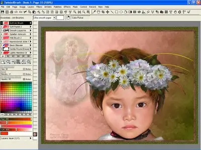 Pixarra TwistedBrush Pro Studio  15.61